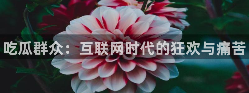 知名名人丑闻新瓜曝光
